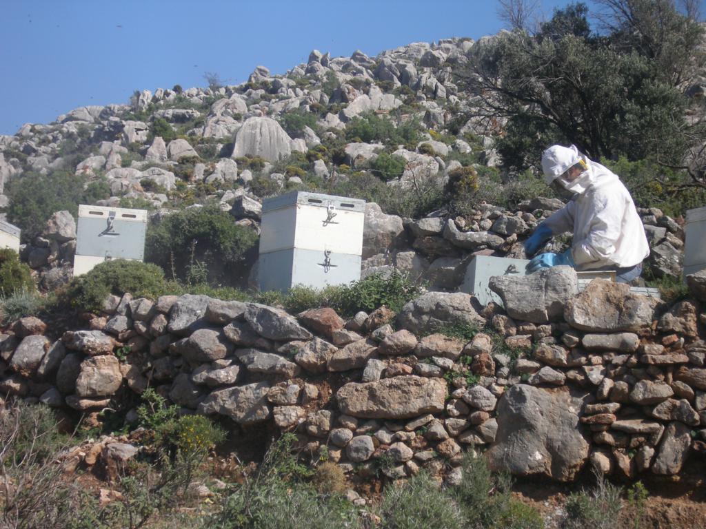 _files/tilos_gallery/Tilos (315).jpg